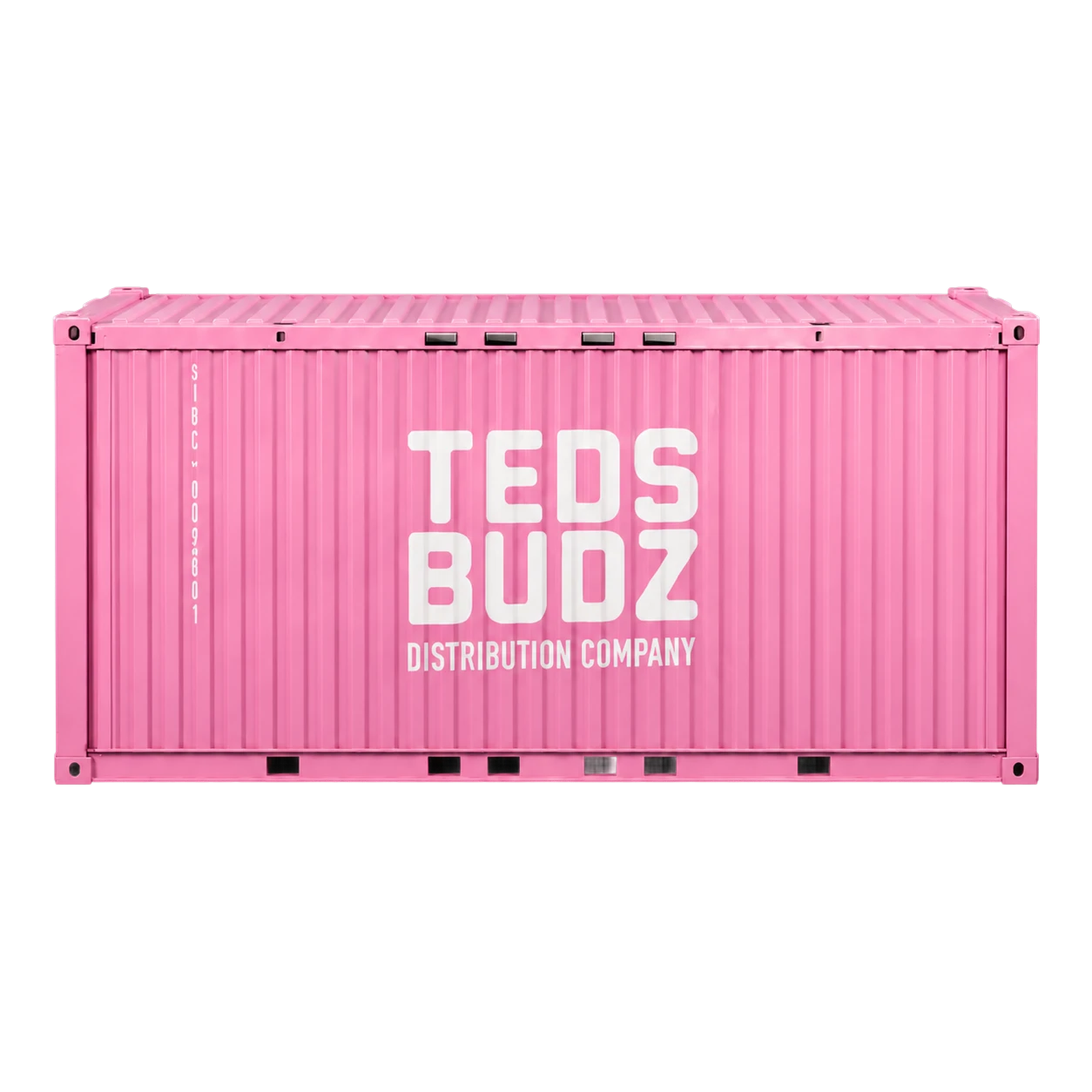 Cargo Box — front view of the pink shipping container